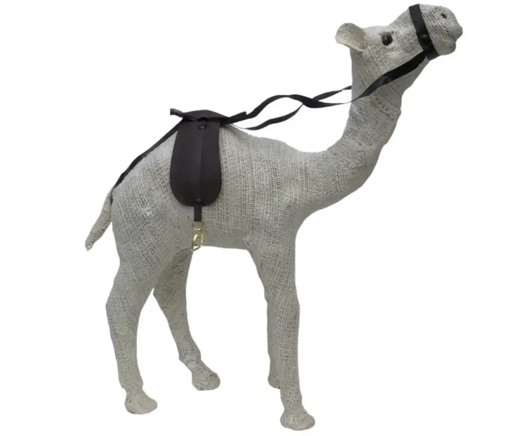 Camel