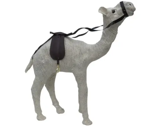 Camel